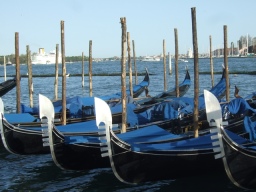 Gondolas in Venice - Photo by Margie Miklas